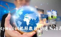 CORE添加tpWallet视频教程：