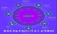 转到冷钱包里的USDT不见了