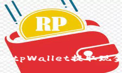 如何顺利地从tpWallet提取现金的完整指南