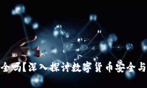 808钱包安全吗？深入探讨数字货币安全与隐私的防护