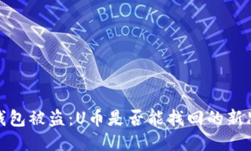 冷钱包被盗：U币是否能找回的新思考