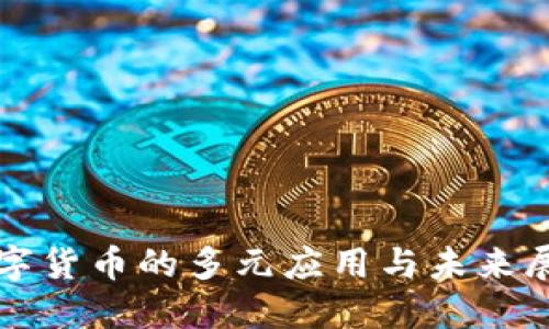 数字货币的多元应用与未来展望