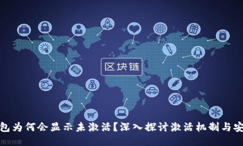冷钱包为何会显示未激活？深入探讨激活机制与安全性