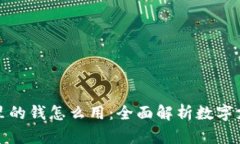 数字钱包里的钱怎么用：