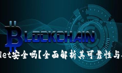 tpWallet安全吗？全面解析其可靠性与安全性
