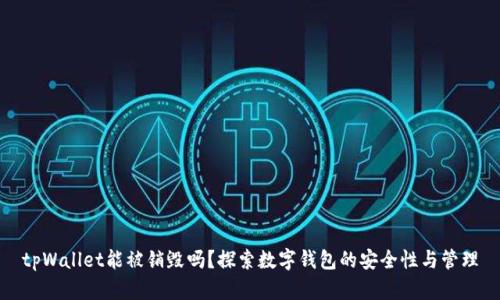tpWallet能被销毁吗？探索数字钱包的安全性与管理