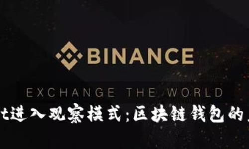 TPWallet进入观察模式：区块链钱包的未来探索