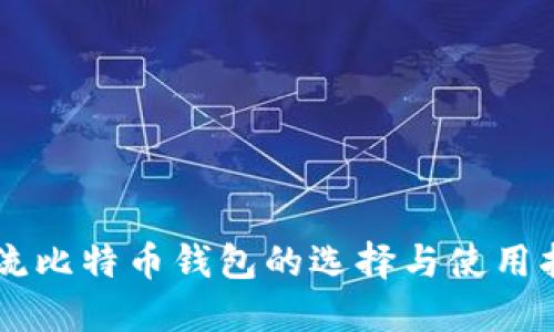 主流比特币钱包的选择与使用指南