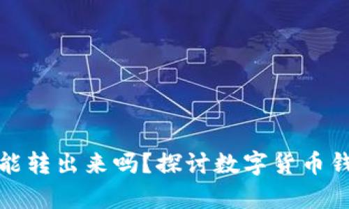 观察钱包里的币能转出来吗？探讨数字货币钱包的功能与安全