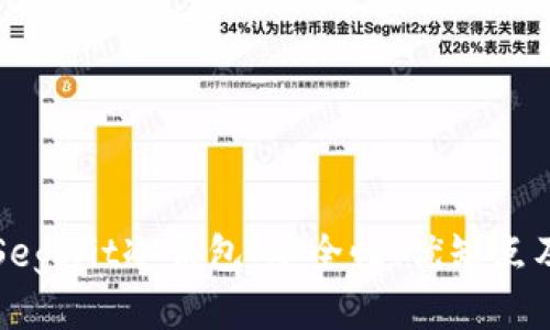 深入探讨SegWit冷钱包：安全性、优缺点及使用指南