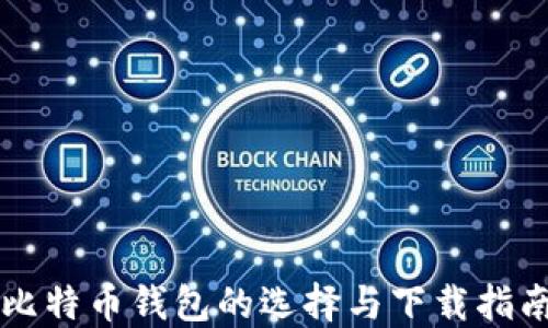 
比特币钱包的选择与下载指南
