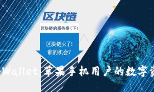 与关键词

 全面解析tpWallet：苹果手机用户的数字资产管理工具