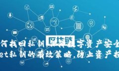 tpWallet如何找回私钥：保障