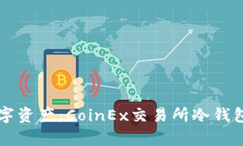 守护你的数字资产：CoinEx交易所冷钱包的全面解析