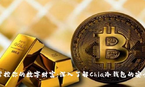彻底掌控你的数字财富：深入了解Chia冷钱包的安全之道