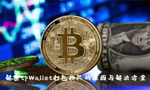 解密tpWallet打包排队的原因与解决方案