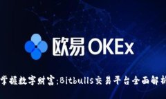 掌握数字财富：Bitbulls交易