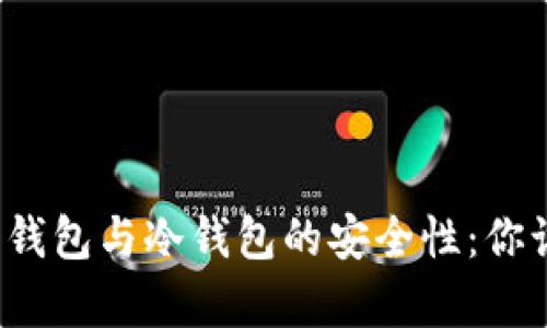 深入解析热钱包与冷钱包的安全性：你该如何选择？