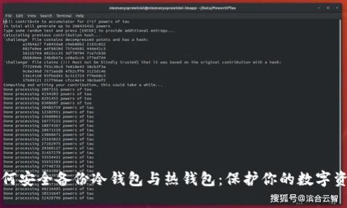 如何安全备份冷钱包与热钱包：保护你的数字资产