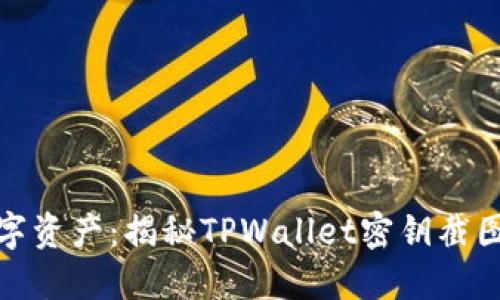 保护你的数字资产：揭秘TPWallet密钥截图的潜在风险