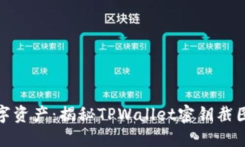 保护你的数字资产：揭秘TPWallet密钥截图的潜在风险