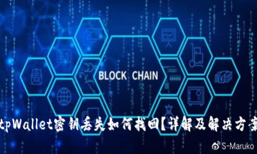 tpWallet密钥丢失如何找回？详解及解决方案