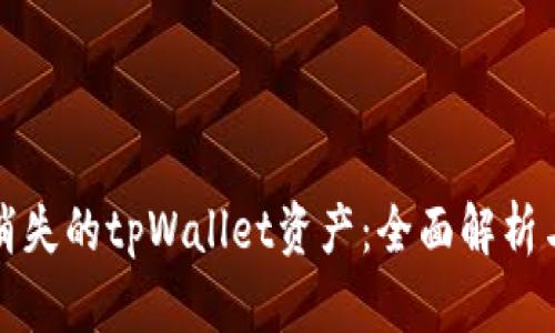 如何找回消失的tpWallet资产：全面解析与解决方案