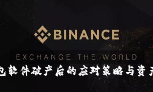 冷钱包软件破产后的应对策略与资产保护