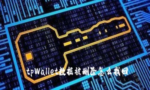  tpWallet数据被删除怎么找回