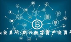 BingoEx交易所：新兴数字资