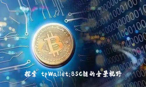 探索 tpWallet：BSC链的全景视野