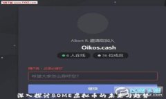 深入探讨BOME虚拟币的未来