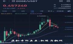 虚拟币的未来：机遇与挑