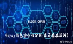 Gopay钱包安全性分析：是否存在漏洞？