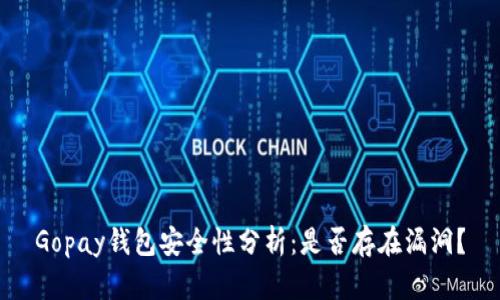 Gopay钱包安全性分析：是否存在漏洞？