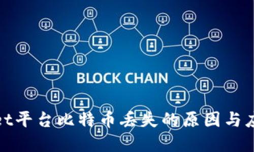 tpWallet平台比特币丢失的原因与应对策略